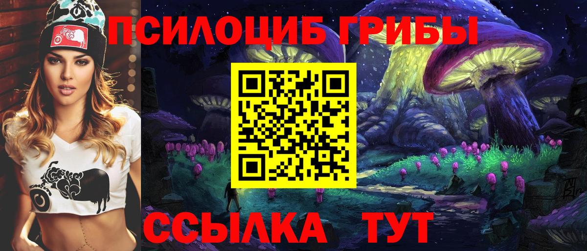 Саров  Псилоцибиновые грибы ЛСД  Вход с VPN  Псилоцибиновые грибы мухоморы 